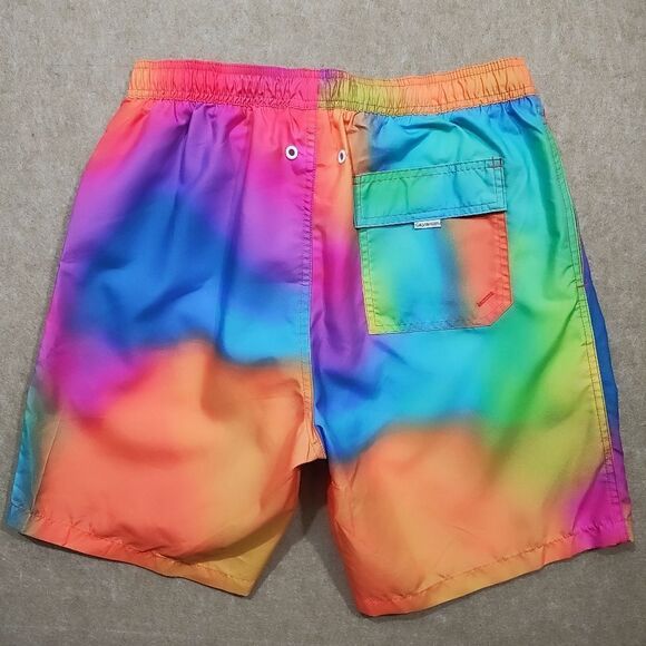 Calvin Klein Swimwear Mens Rainbow Swim Shorts Trunks Medium #D - Picture 2 of 7